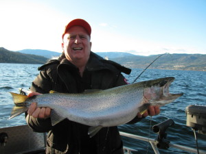 Trophy rainbow from Okanagan Lake BC